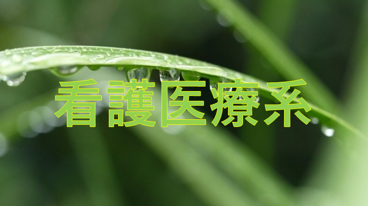 看護医療系