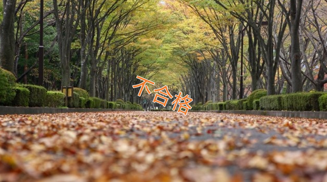 不合格